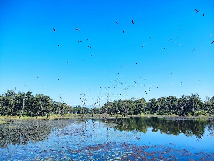 Baatuli Pokhari - Bharatpur - Nepal - Booked ai