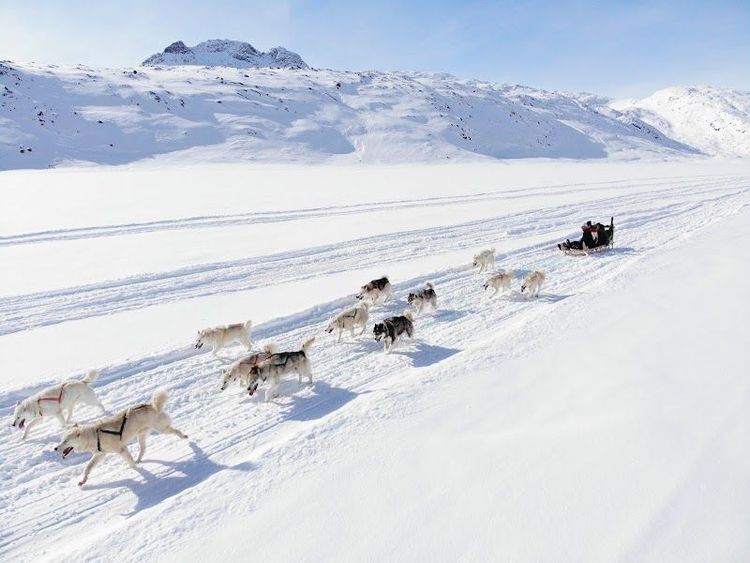 Tasiilaq Tours - Tasiilaq - Greenland - Booked ai