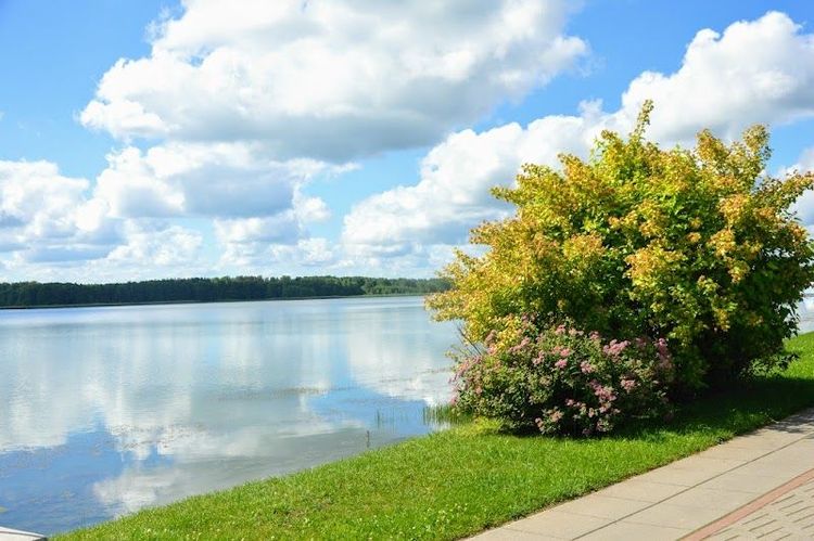 Mastis - Telšiai - Lithuania - Booked ai