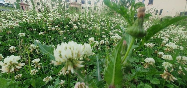 Gujranwala Travel Guide - Best time to visit - Booked ai