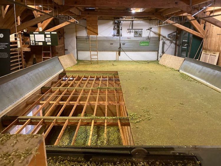 Hopfenmuseum & Laden - Tettnang - Germany - Booked ai