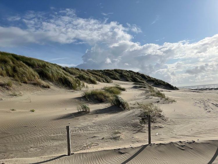 Nationaal Park Duinen van Texel - De Koog - Netherlands - Booked ai