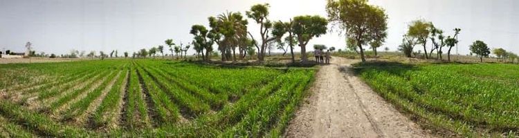 Mirpur Khas Travel Guide - Best time to visit - Booked ai