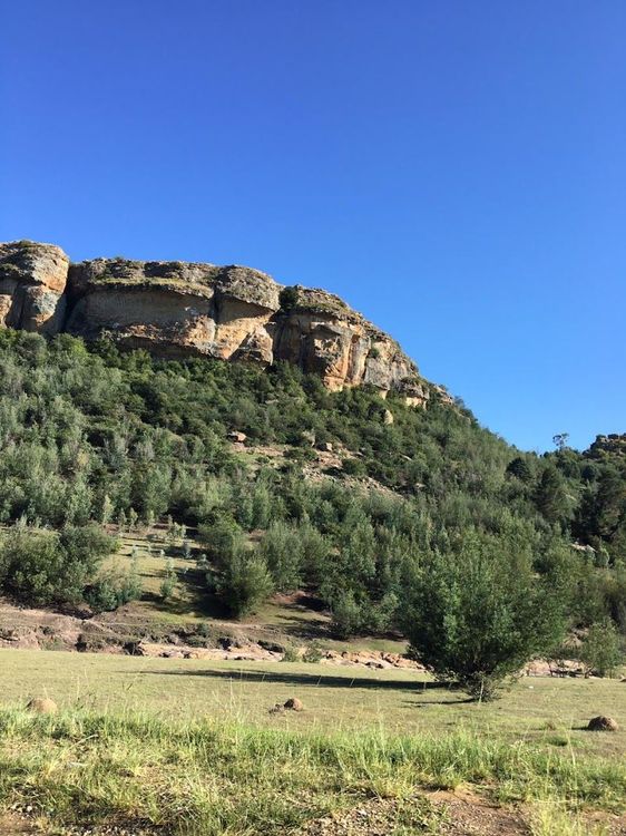 Teyateyaneng - Teyateyaneng - Lesotho - Booked ai