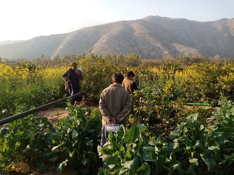 Holiday in Mardan, Pakistan - Booked ai