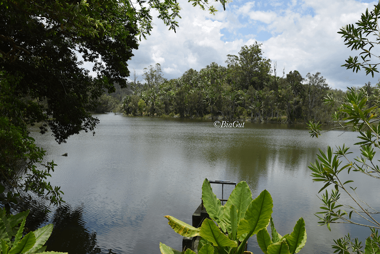 Parc Ivoloina - Toamasina - Madagascar - Booked ai