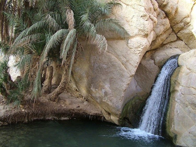 Tozeur - Tozeur - Tunisia - Booked ai