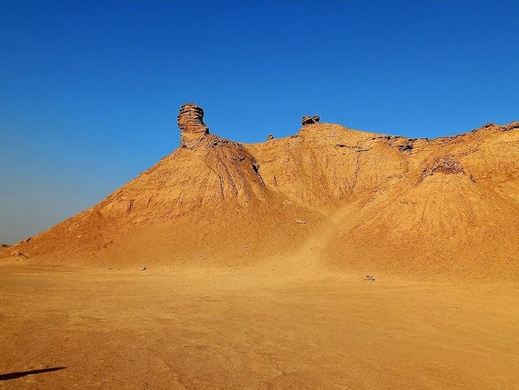 Ong Jmal - Tozeur - Tunisia - Booked ai