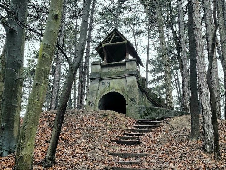 Lesopark Brezina - Trenčín - Slovakia - Booked ai