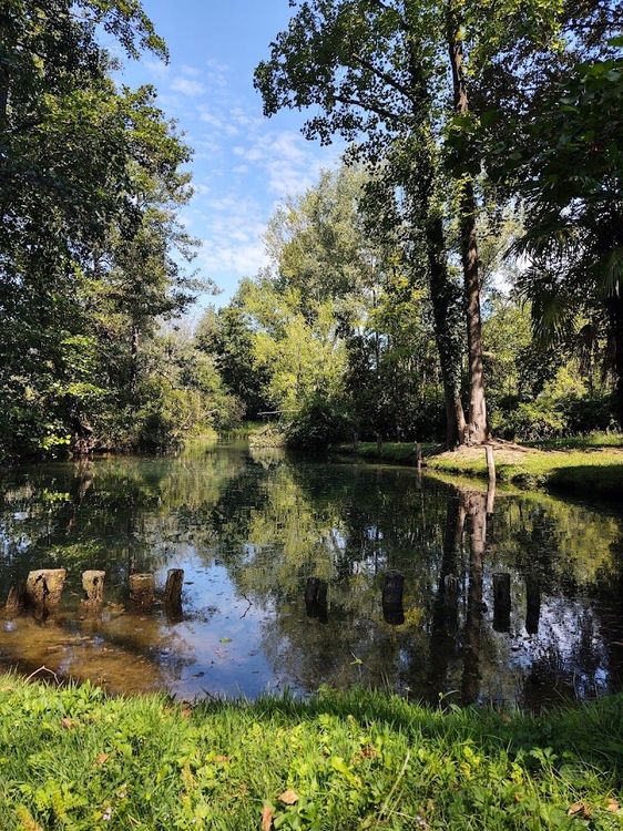 Parco Naturale Regionale del Fiume Sile - Treviso - Italy - Booked ai