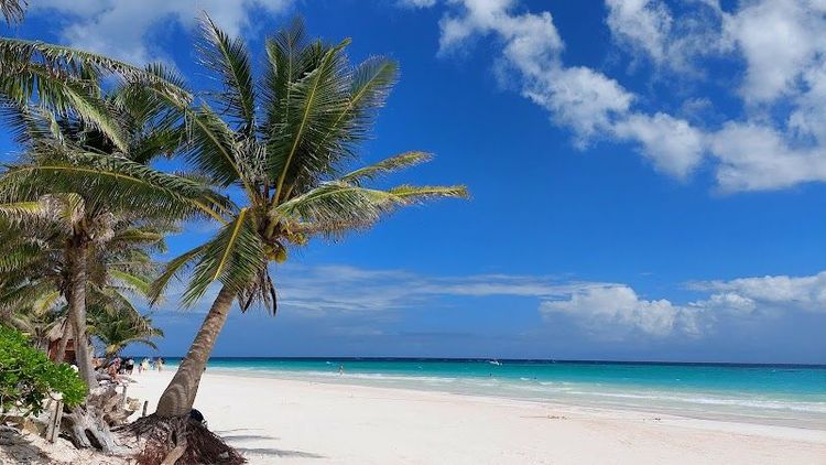 Paradise Beach - Quintana Roo - Mexico - Booked ai