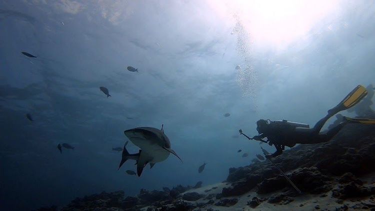 Fuvahmulah Travel Guide - Best time to visit - Booked ai