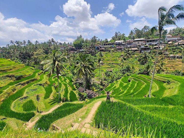 Tegallalang Rice Terrace - Ubud - Indonesia - Booked ai