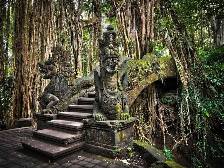 Sacred Monkey Forest Sanctuary - Ubud - Indonesia - Booked ai