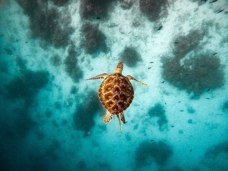 Holiday in Hithadhoo, Maldives - Booked ai