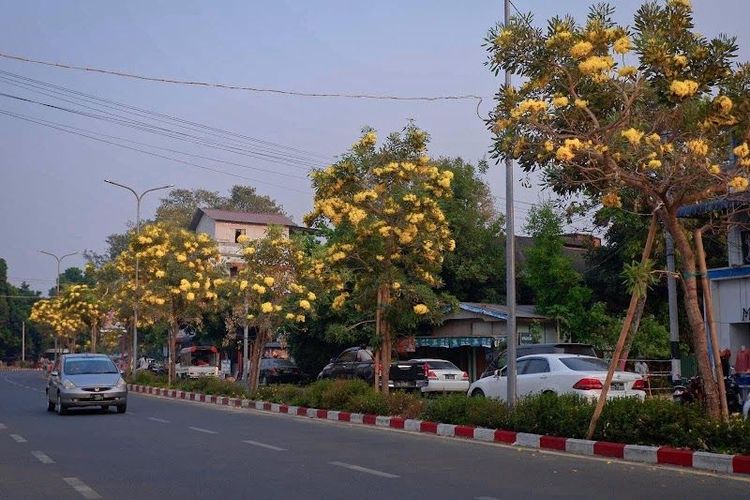 Holiday in Myitkyina, Myanmar - Booked ai