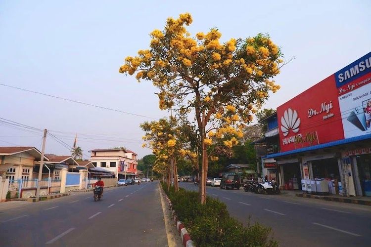 Myitkyina Travel Guide - Best time to visit - Booked ai