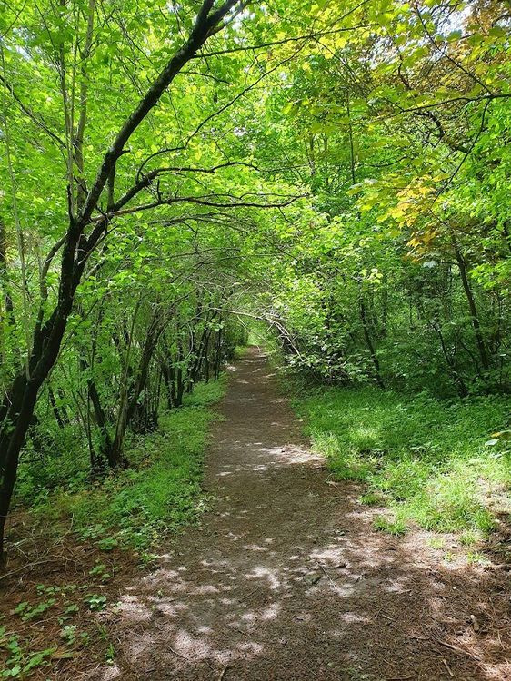Vanadzor Botanical Garden - Vanadzor - Armenia - Booked ai