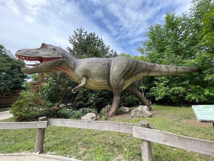 Veszprém Zoo - Veszprém - Hungary - Booked ai