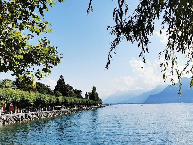 Promenade au bord de l’eau - Vevey - Switzerland - Booked ai