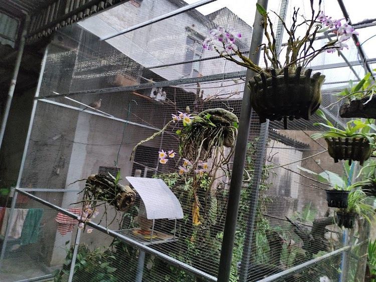 Vinh Travel Guide - Best time to visit - Booked ai