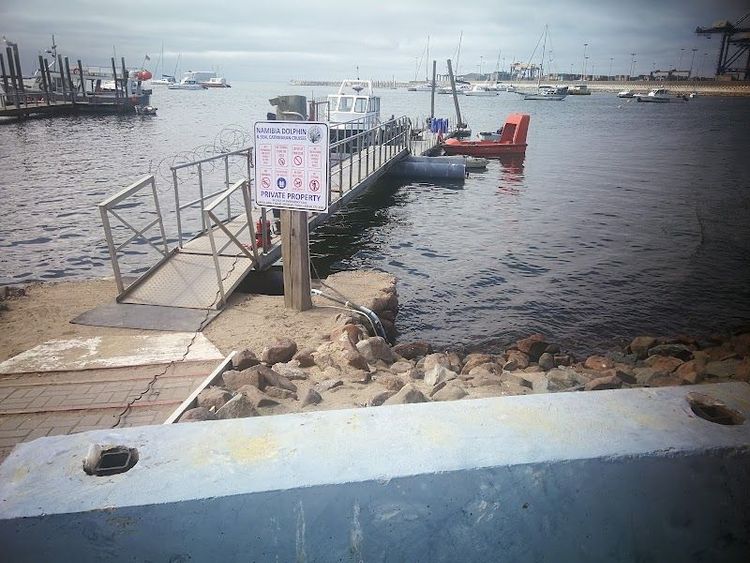 Namibia Dolphin and Seal Catamaran Cruises - Walvis Bay - Namibia - Booked ai