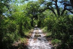 Arabuko Sokoke Forest Reserve - Malindi - Kenya - Booked ai