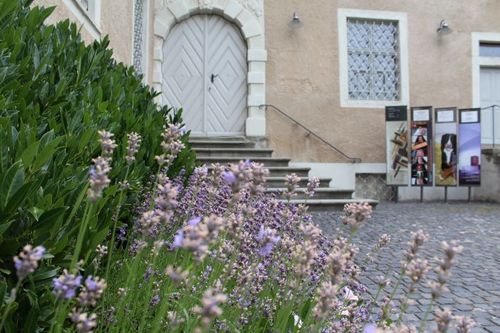 Art Museum of the Canton of Thurgau - Weinfelden - Switzerland - Booked ai