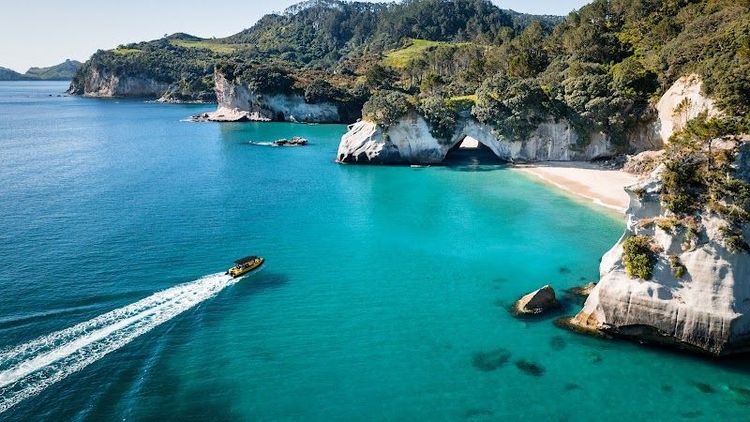 Ocean Leopard - Cathedral Cove Boat Tours - Whitianga - New Zealand - Booked ai