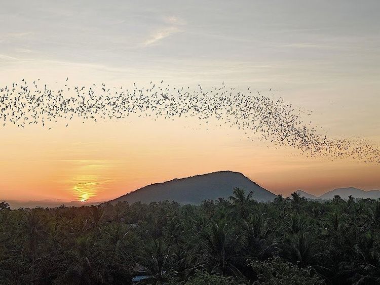 Kim Tours Battambang - Battambang - Cambodia - Booked ai