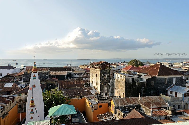 Emerson on Hurumzi - Nungwi - Tanzania - Booked ai