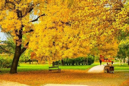 Kamberovića polje - Zenica - Bosnia and Herzegovina - Booked ai