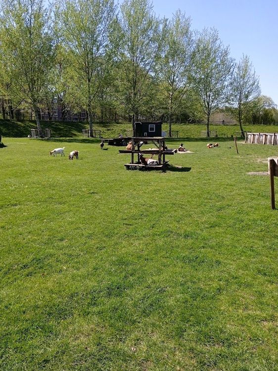 Park De Wezenlanden - Zwolle - Netherlands - Booked ai