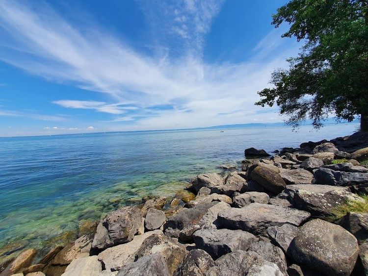 Seepark Arbon - Arbon - Switzerland - Booked ai