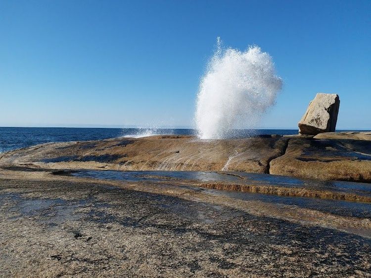 Bicheno Blowhole - Bicheno - Australia - Booked ai