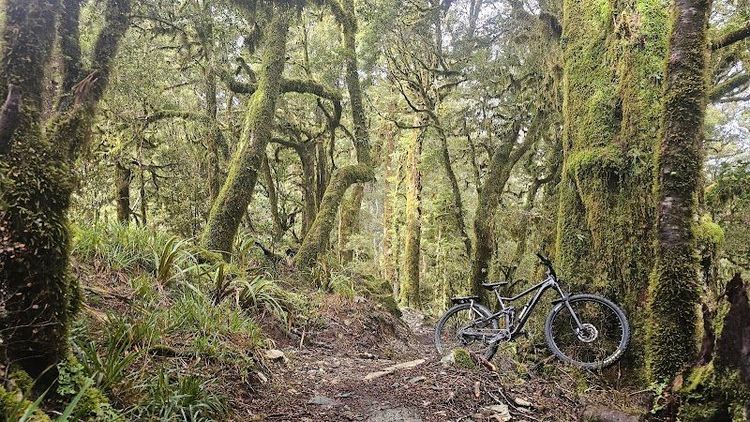 Cycle Journeys Greymouth - Greymouth - New Zealand - Booked ai