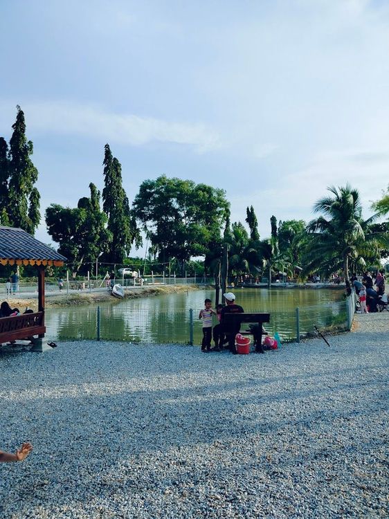 Kampung Padi - Sungai Petani - Malaysia - Booked ai