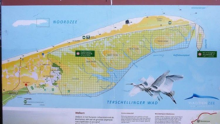 Boschplaat, Terschelling - Midsland - Netherlands - Booked ai