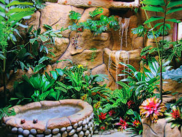 Peace Lodge, Vara Blanca, Heredia
