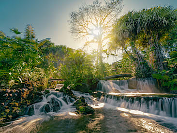 Bars and Restaurants at Tabacon Thermal Resort and Spa, La Fortuna de San Carlos, Arenal