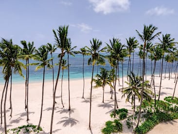 Hyatt Vivid Punta Cana Adults Only, Cabeza de Toro