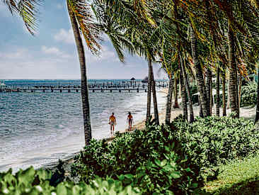 Royalton Reserve Paraiso de la Bonita, A Luxury Collection Resort, Puerto Morelos, Riviera Maya