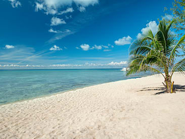 Services and Facilities at Iberostar Cozumel, Isla Cozumel