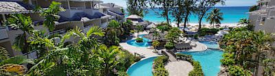 Bougainvillea Barbados