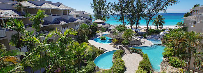 Bougainvillea Barbados