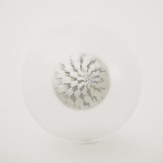Whiskers — Lost Marble #28