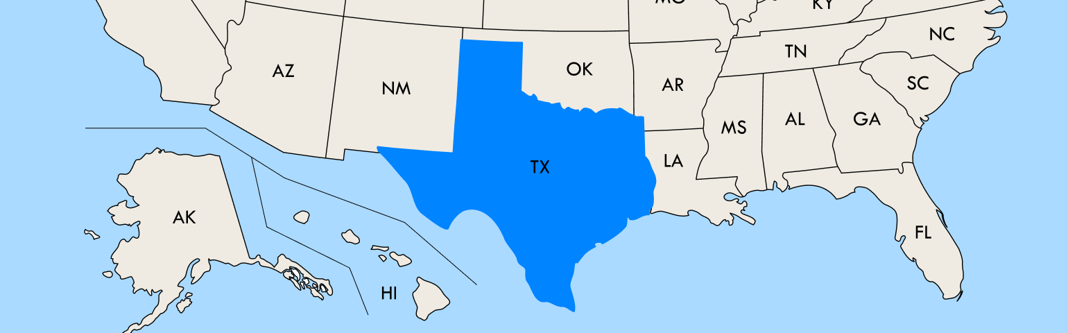 Texas VIN Check & License Plate Lookup Example