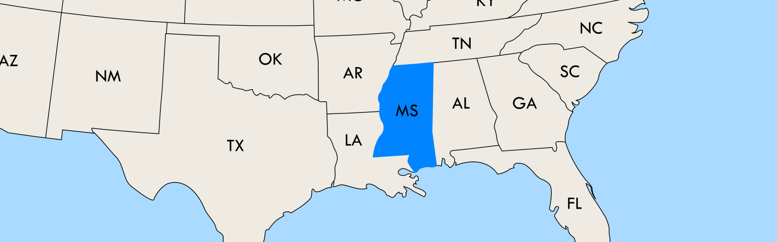 Mississippi VIN Check & License Plate Lookup Example