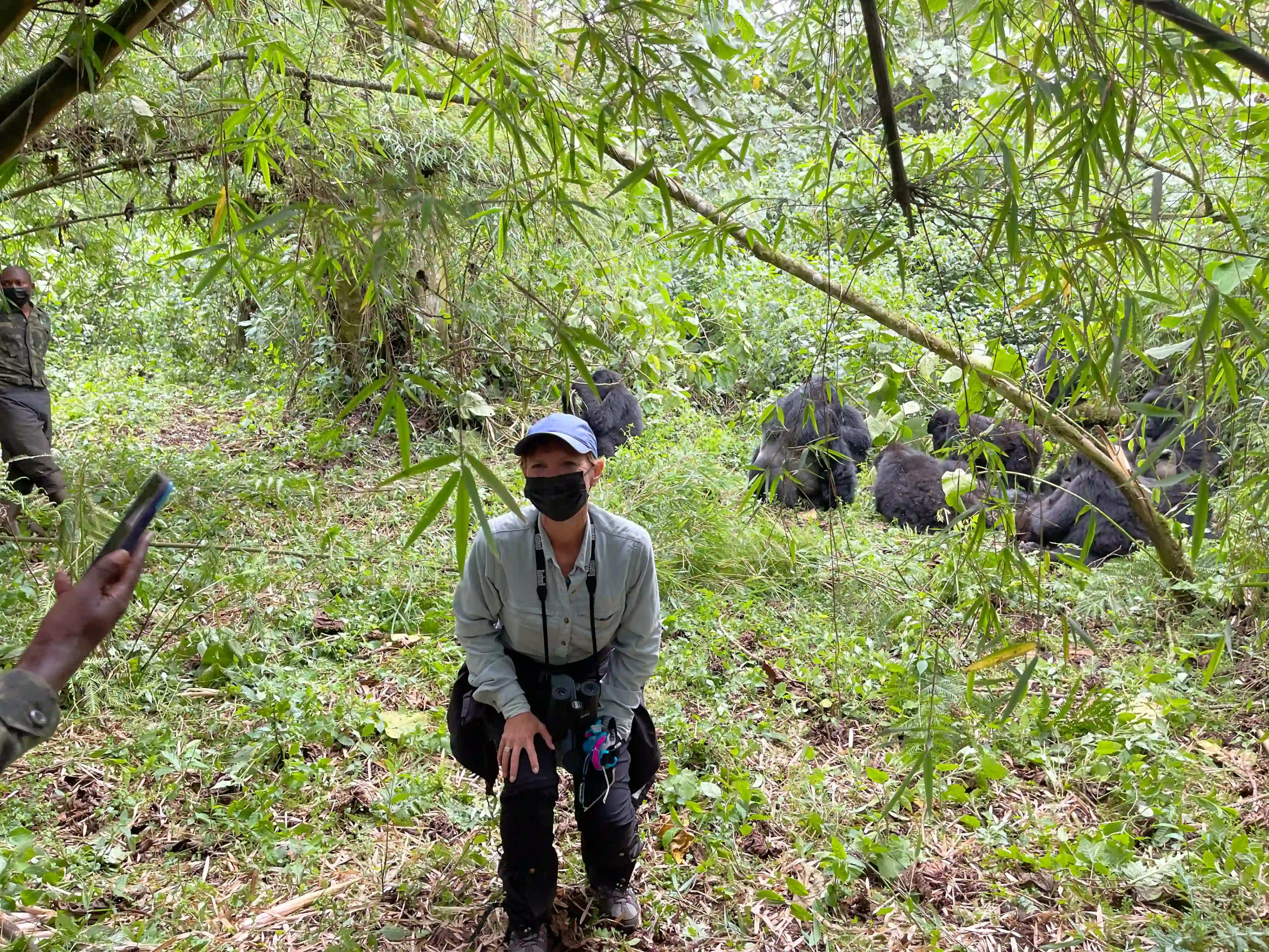 A female traveler takes a photograph during a mountain gorilla trekking experience in Bwindi Impenetrable National Park, while a family of endangered mountain gorillas rests peacefully about 6 meters behind her in the dense rainforest.