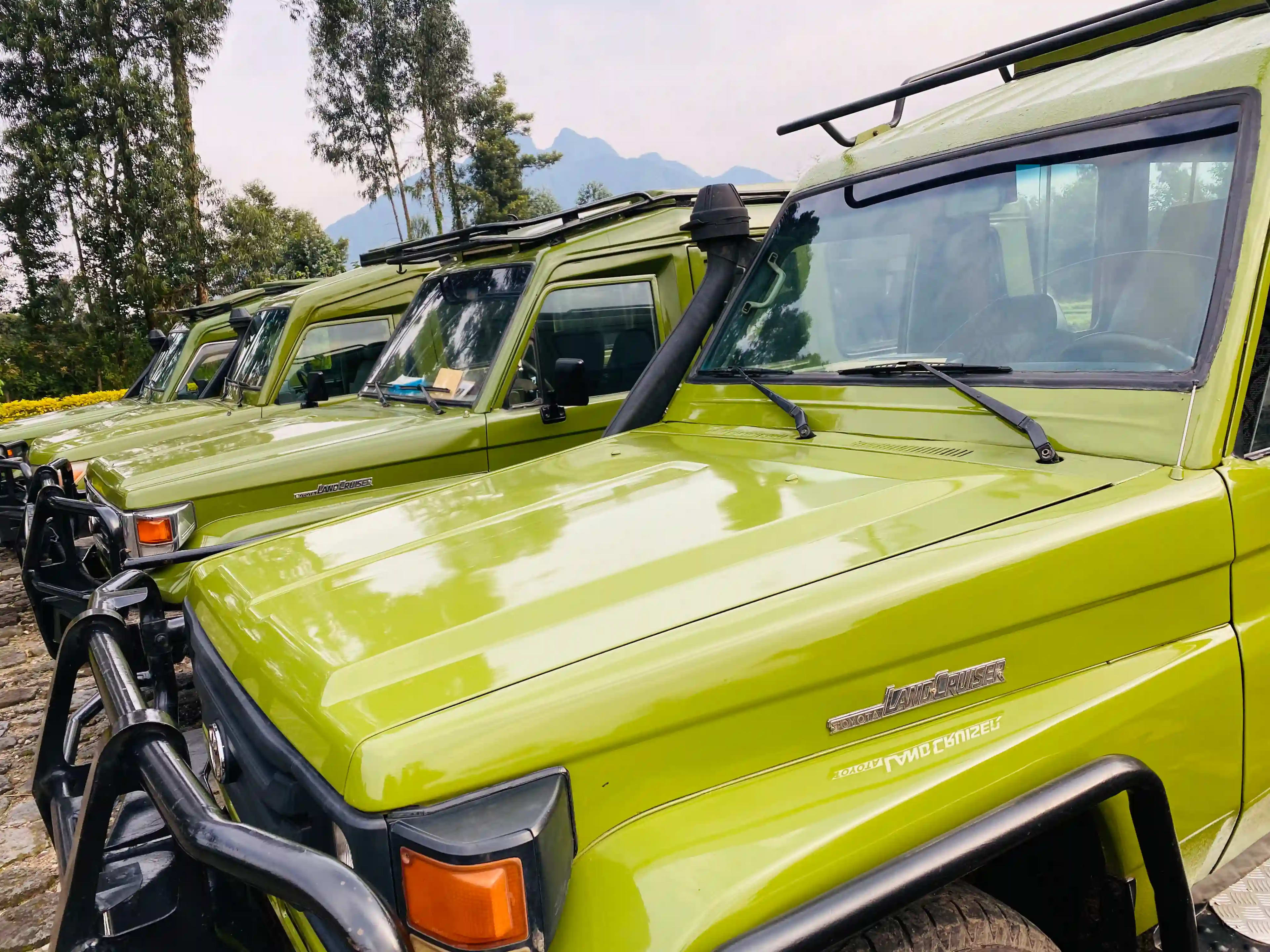 Un véhicule de safari privé avantageux pour une expérience de trekking de gorilles de montagne au Rwanda